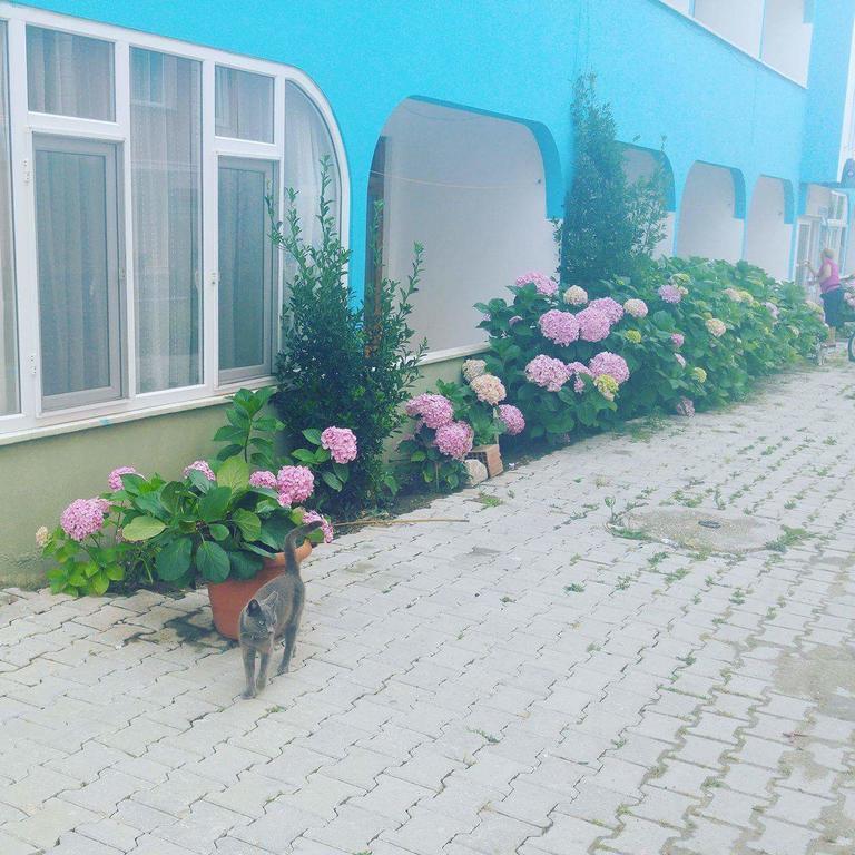 Ada Motel Türkeli Bagian luar foto